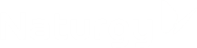 naturgy.png
